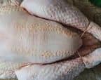 poulet