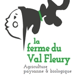 logo Val Fleury
