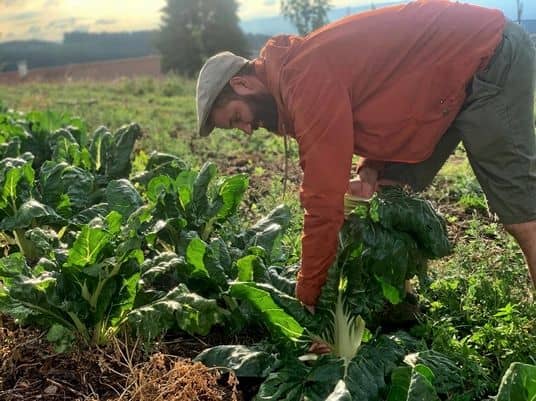 quentin1